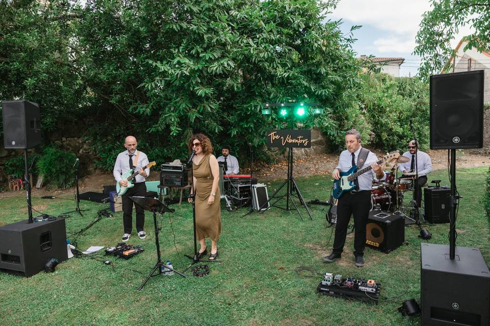 The Vibrators Band_Wedding
