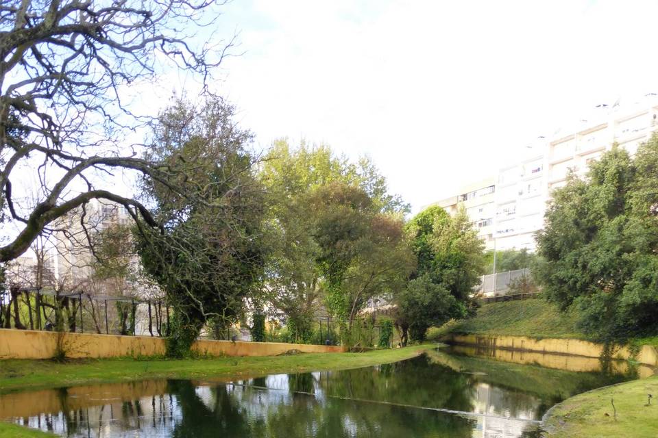 Lago e jardim