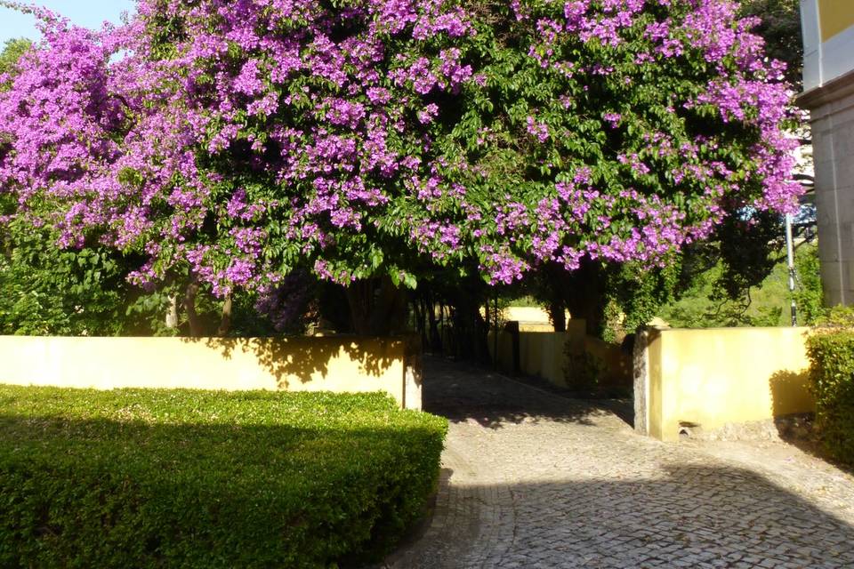 Jardim Palácio