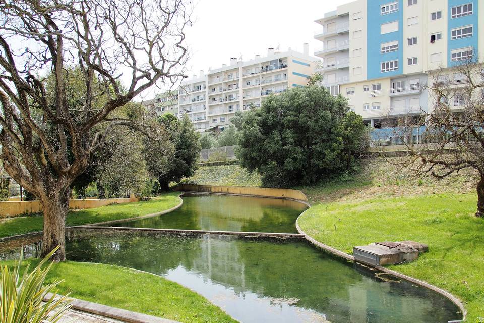 Jardim com Lago