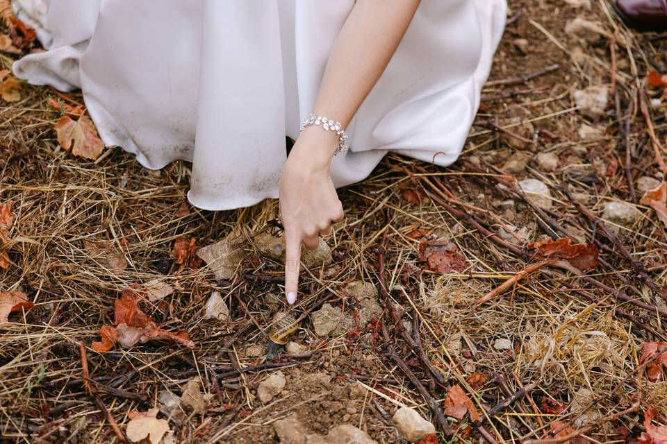 Fotografia de Casamento