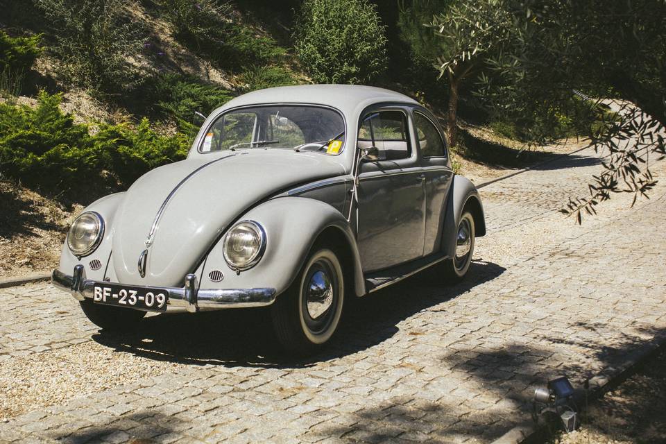 VW Carocha 1955