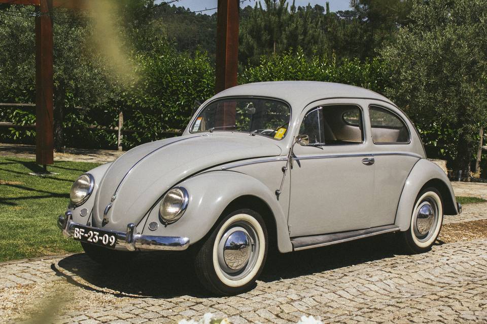 VW Carocha 1955