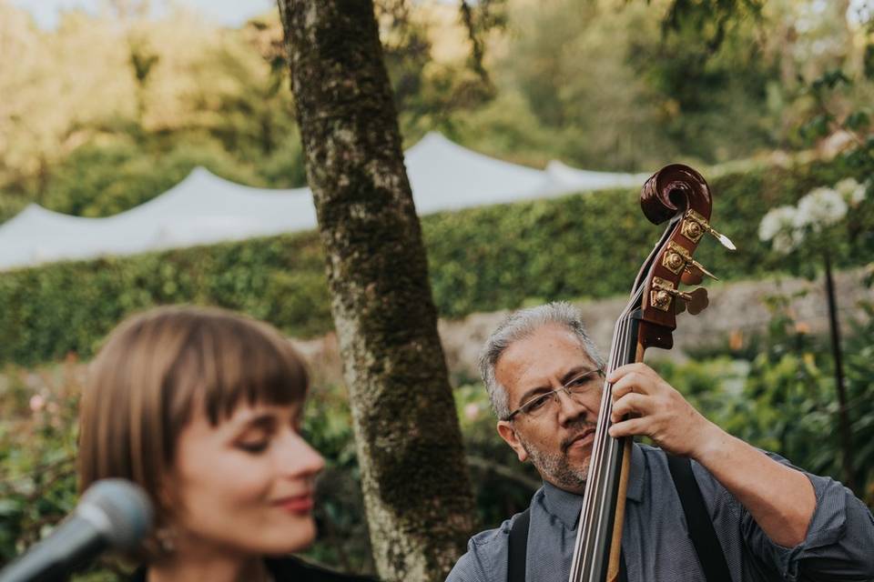 Casamento Real (Hugo Coelho)