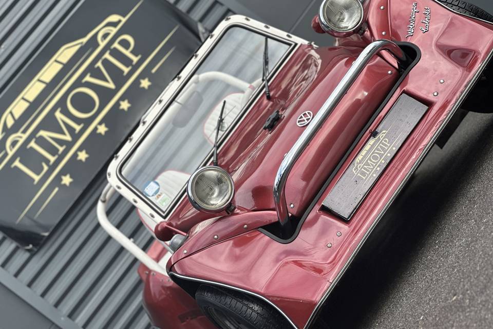 Vw Buggy Vip
