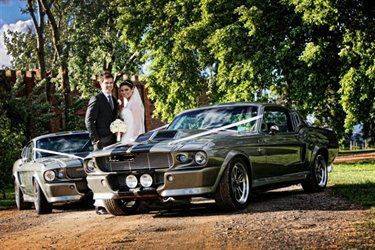 Ford Mustang Shelby Gt 500