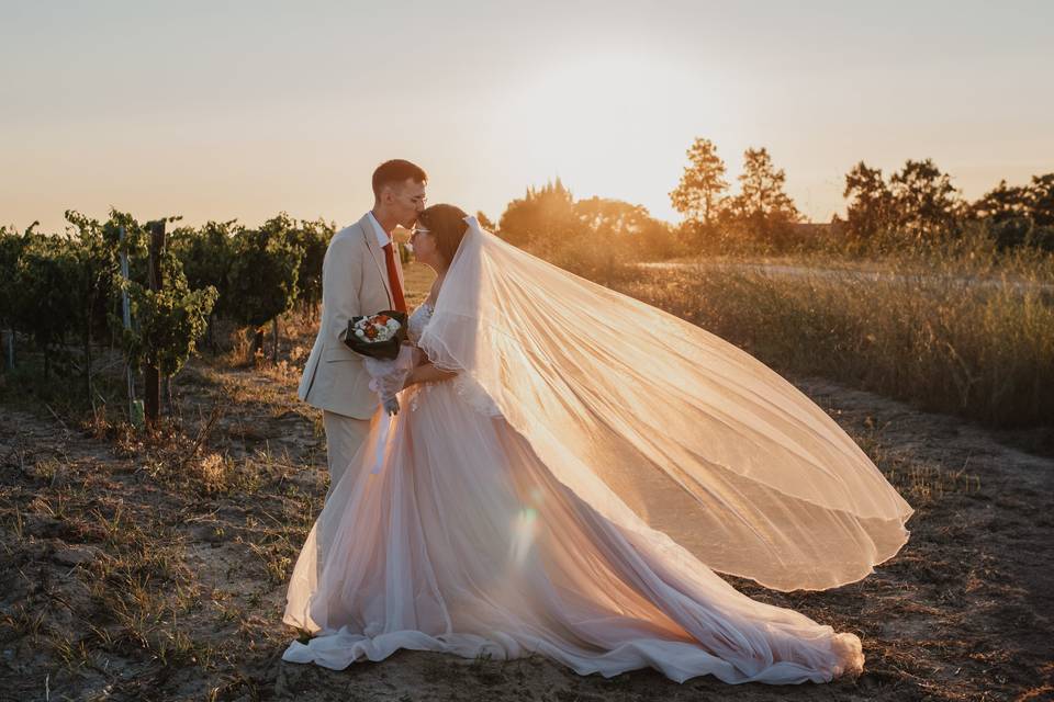 Beatriz & Afonso - Casamento