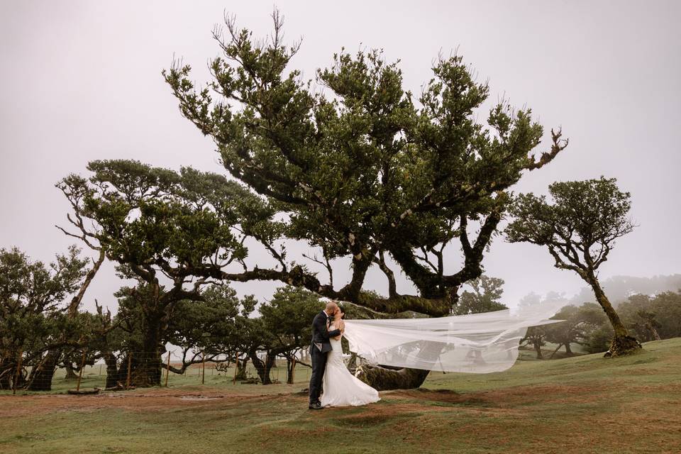 Love the Dress Madeira Island