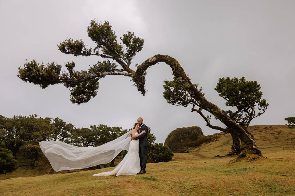 Love the Dress Madeira Island