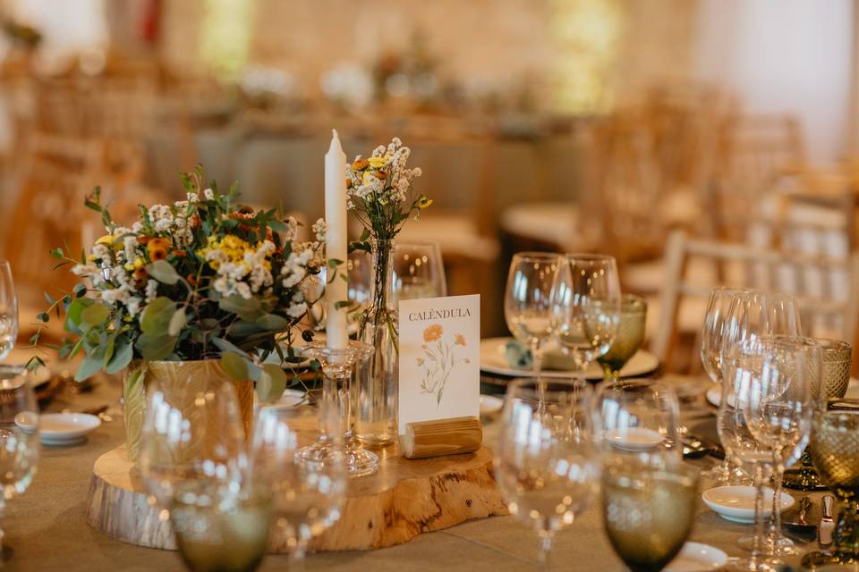 Pé de Laranja Eventos