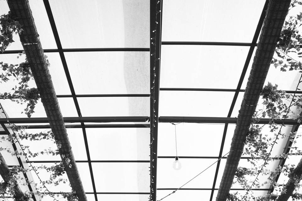 Samuel Gonçalves Photography