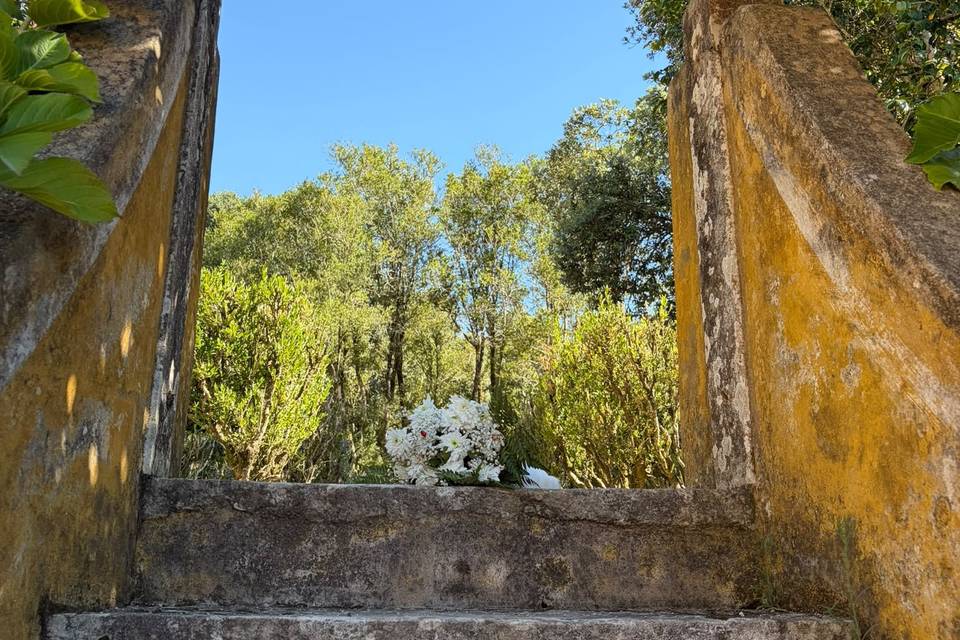 Detalhes