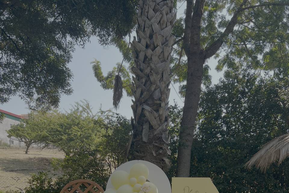 Babyshower