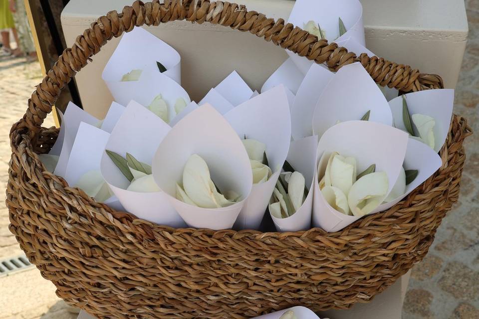 Celebração Cerimónia