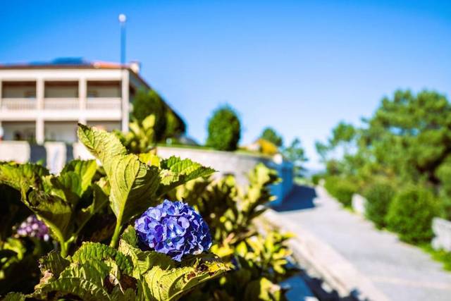 Hotel Cotto do Gatto