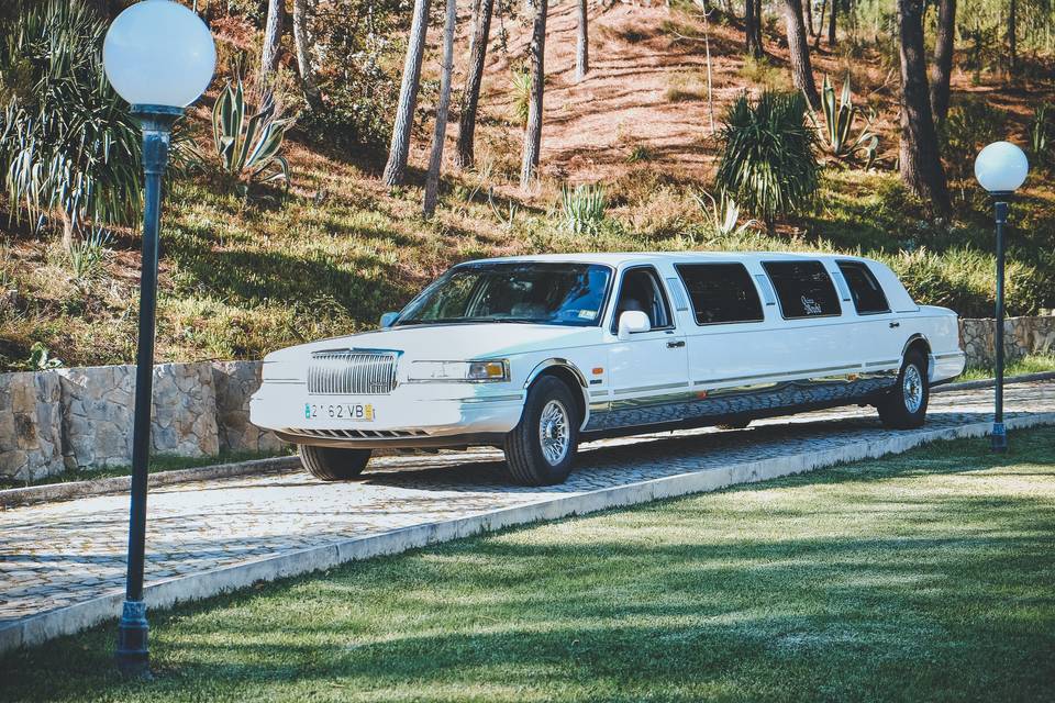 Limousine