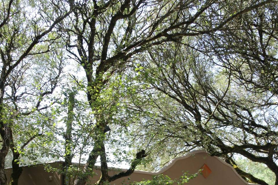 Quinta