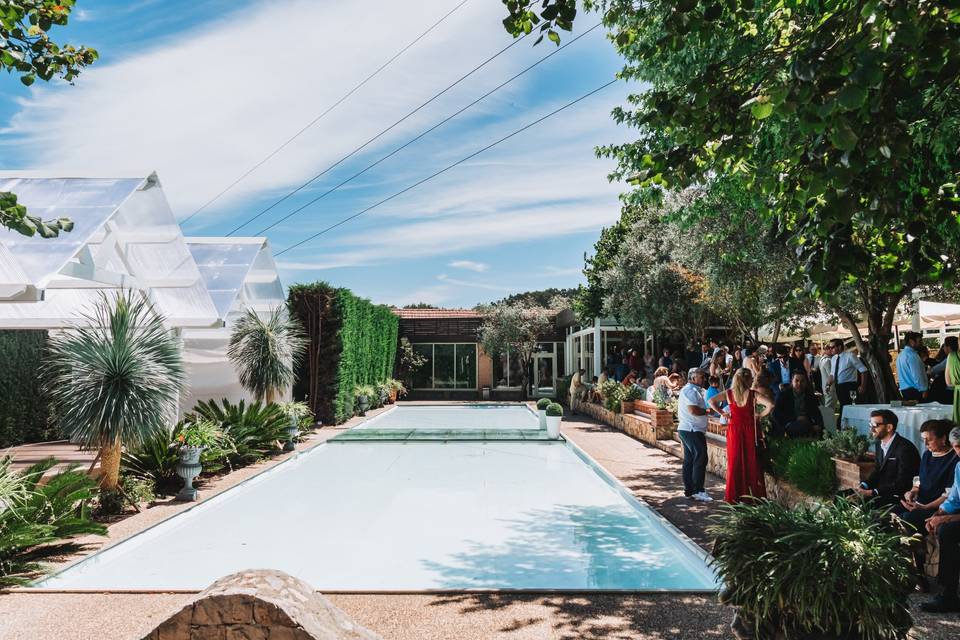 Quinta das oliveiras