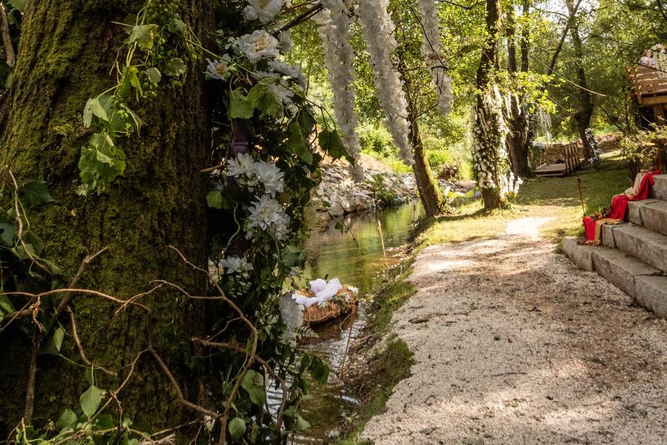 Decoração Evento Rio Jardim