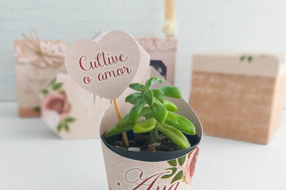 Embalagem para cacto