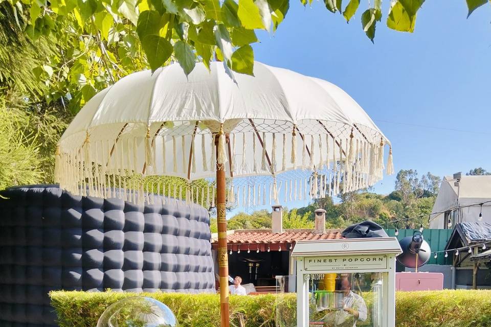 Carrinhos caracterizados