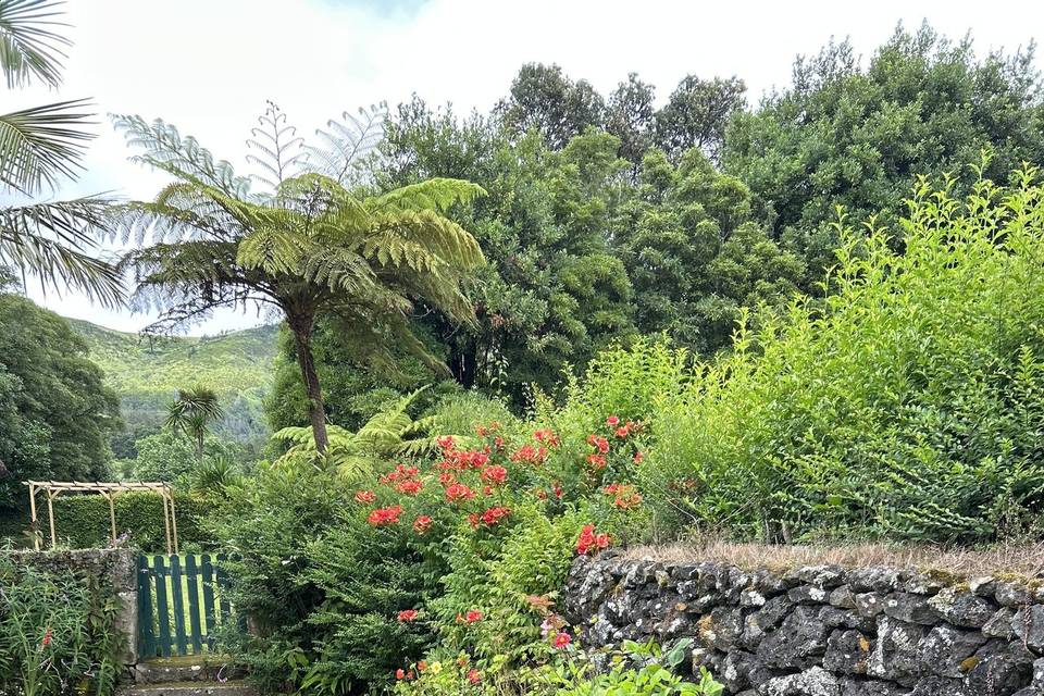 Jardim