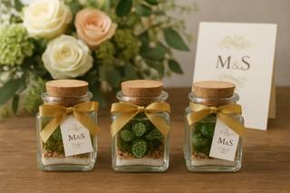 Pop Moss