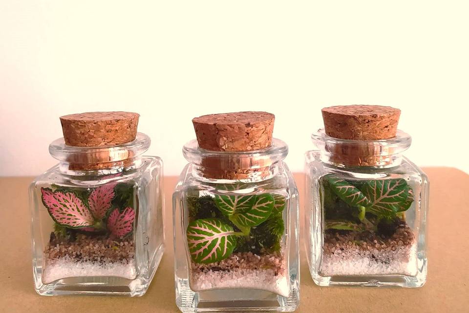 Mini terrários personalizáveis