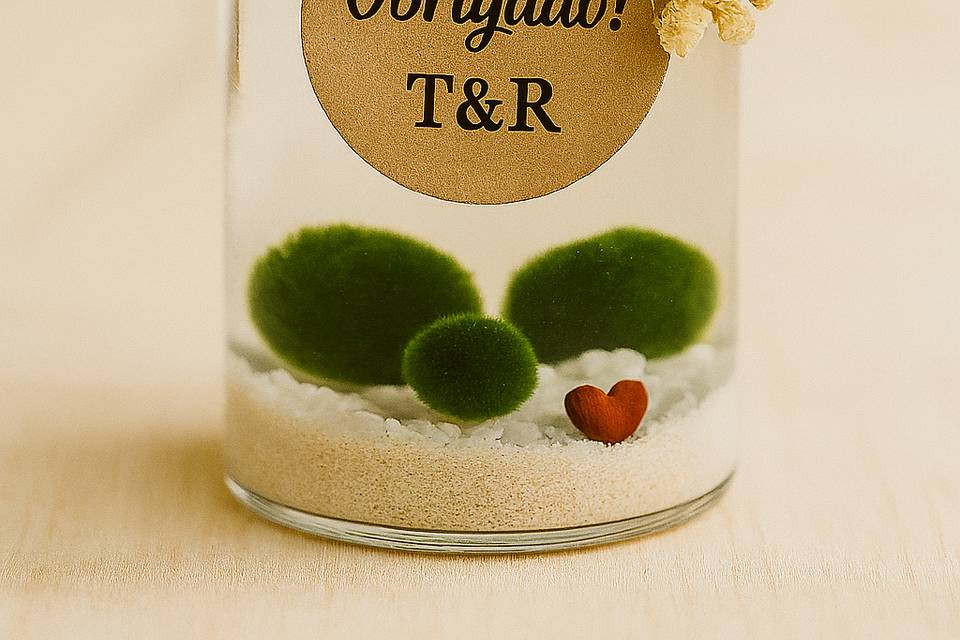 Boião com 3 bolinhas de marimo