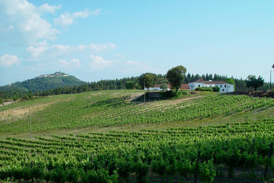 Agro quinta de s. Gens