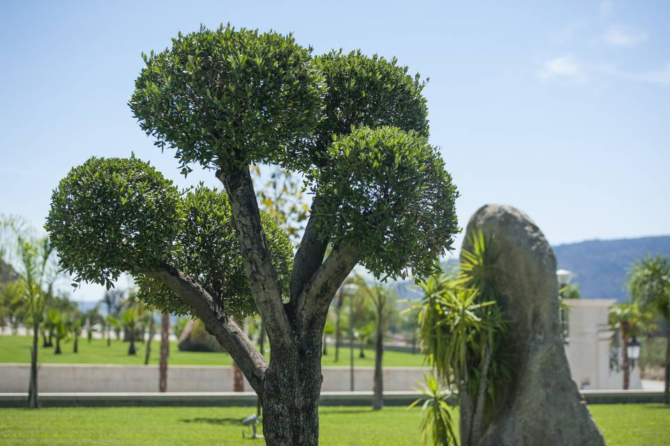 Quinta da Terrincha