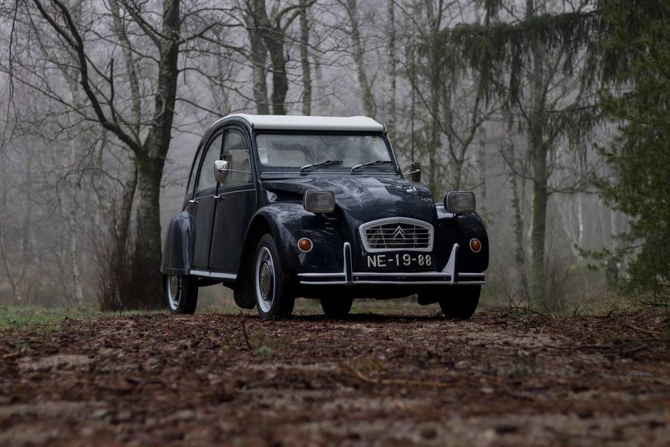 O nosso 2cv p alugarr