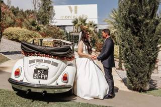 Dream Car 2CV & VW Beetle