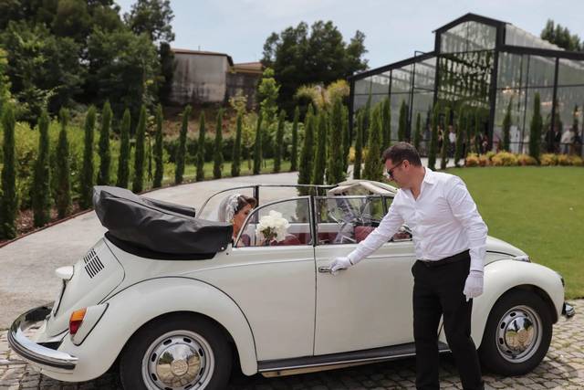 Dream Car 2CV & VW Beetle