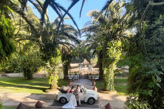 DreamCar2CV & VW Beetle