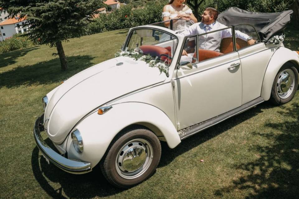 Dream Car 2CV & VW Beetle
