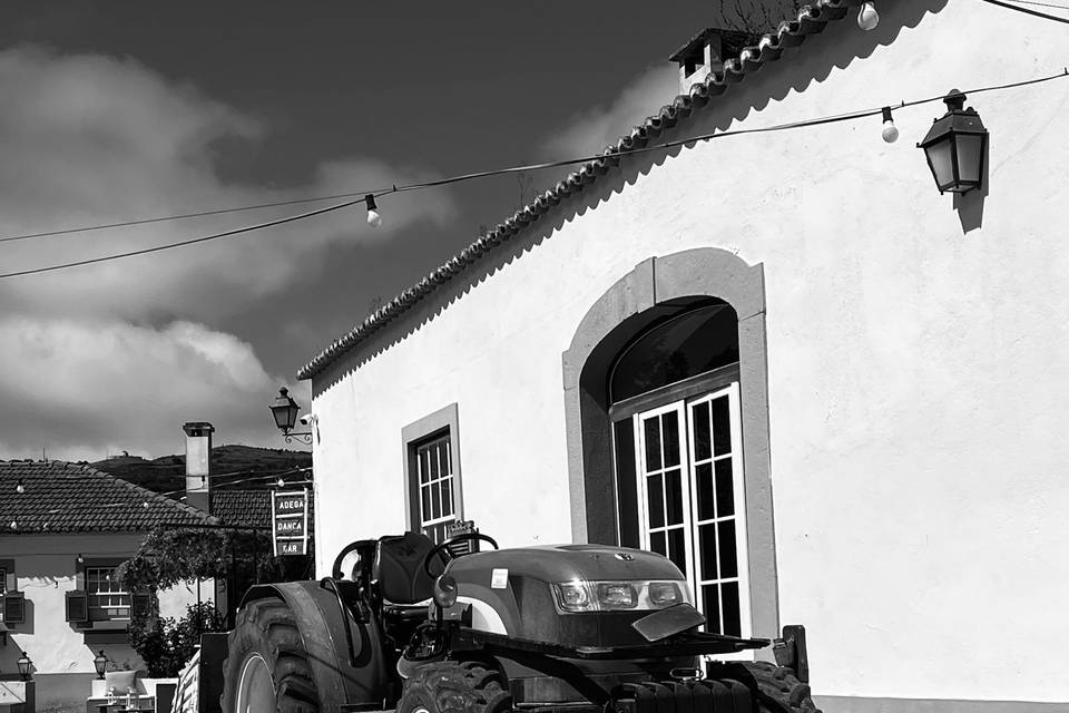 Quintas