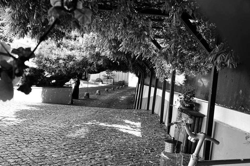 Quinta