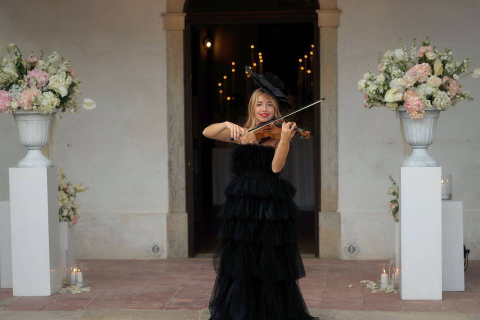 Violin