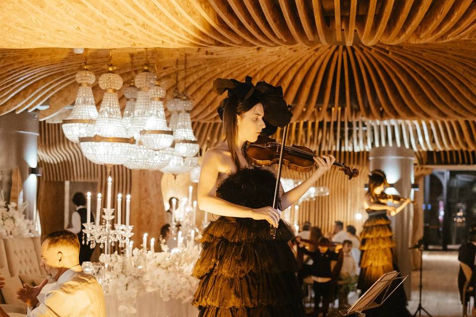 Violins