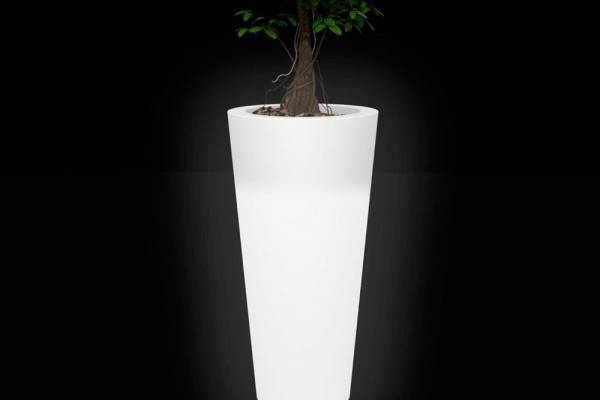 Vaso LED