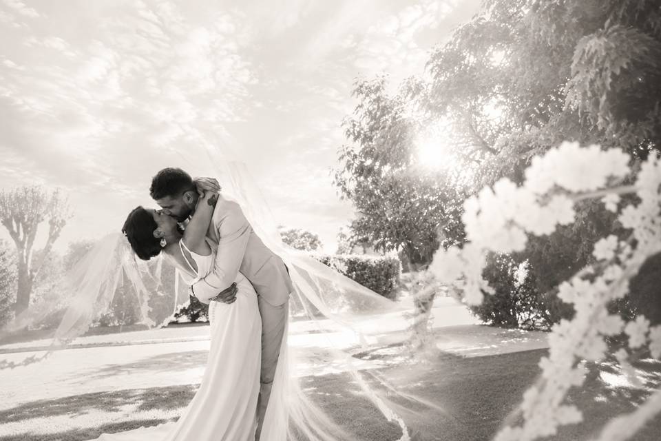 Artis Creative - Wedding