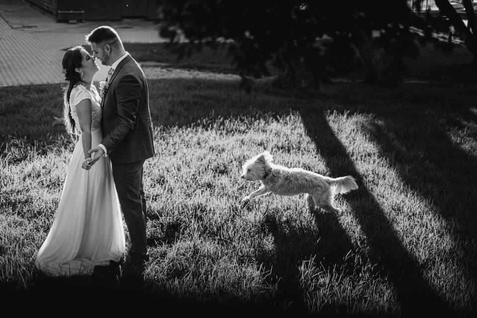 Rui Costa Freire - Emotion Wedding Photography