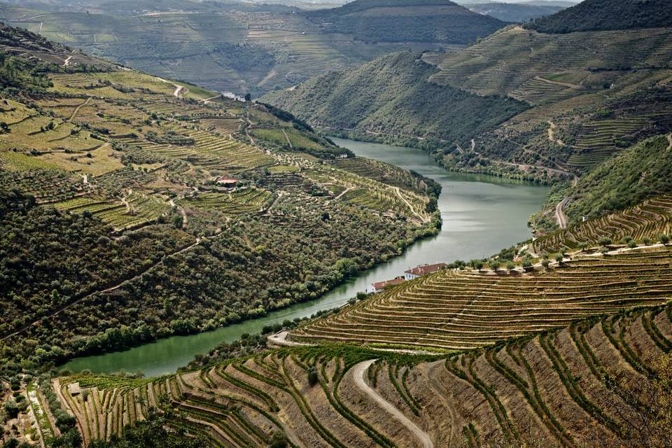 Rio Douro