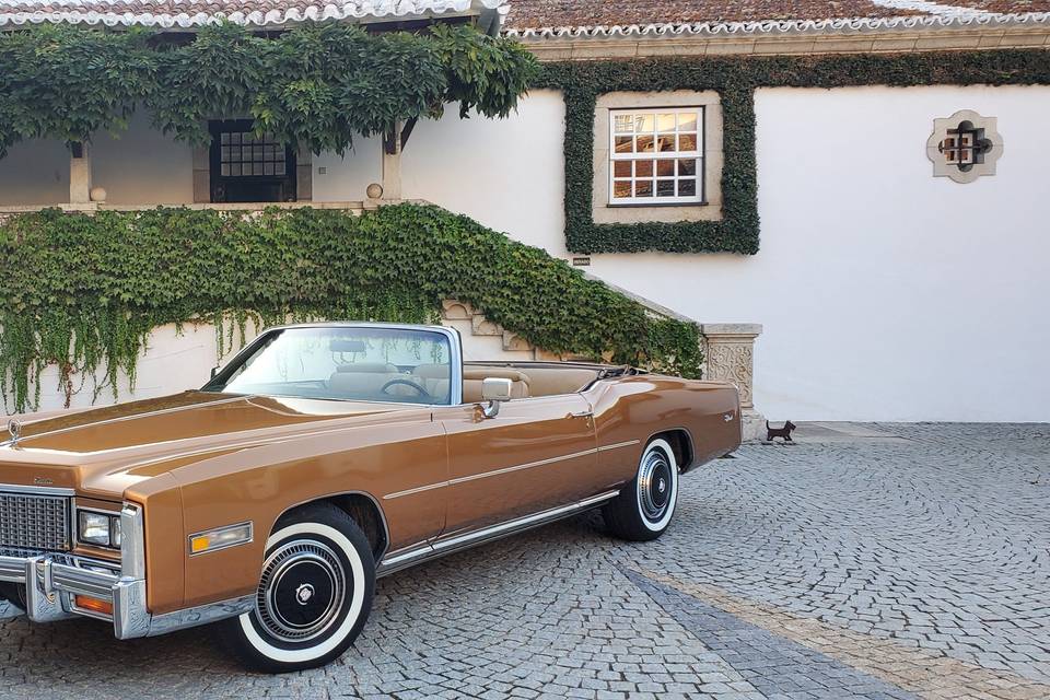 Cadillac Eldorado 1976
