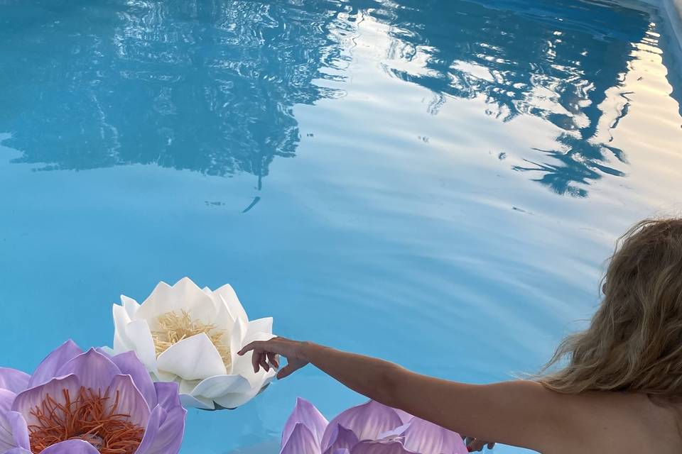 Flores de Lotus para piscina