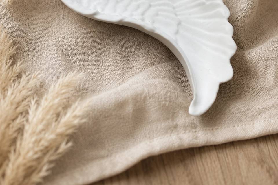 Asa de anjo
