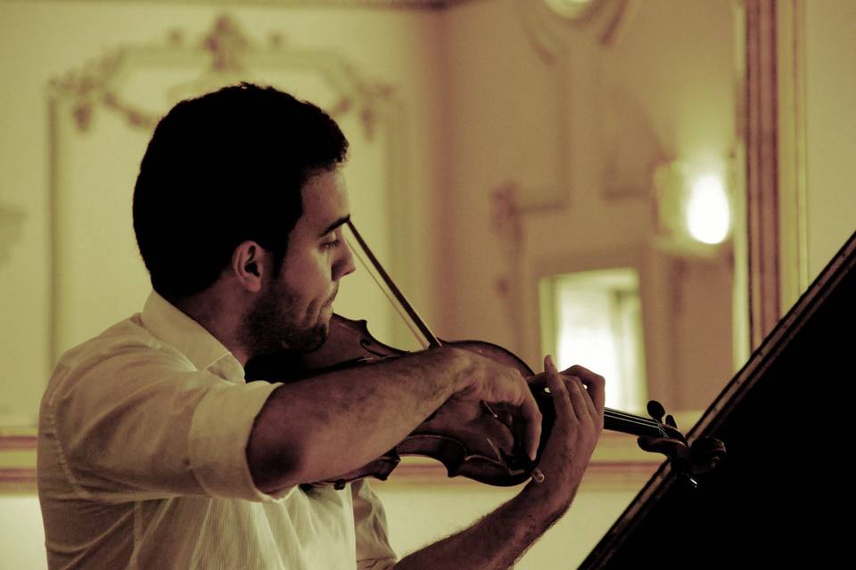 Violino