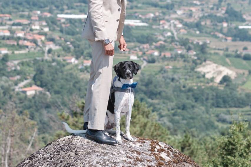 Um passeio de mãos dadas