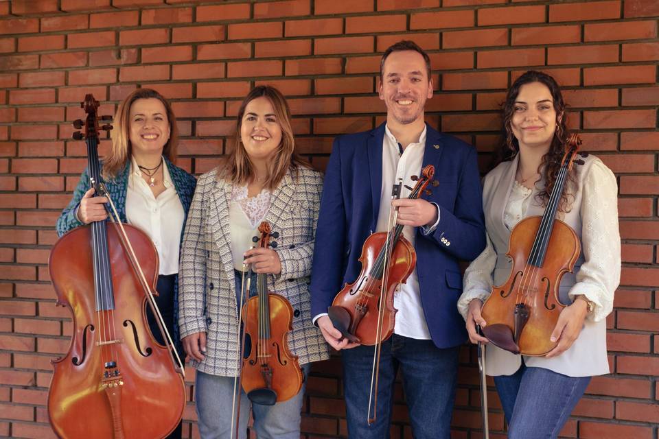 Quarteto de Cordas Romã